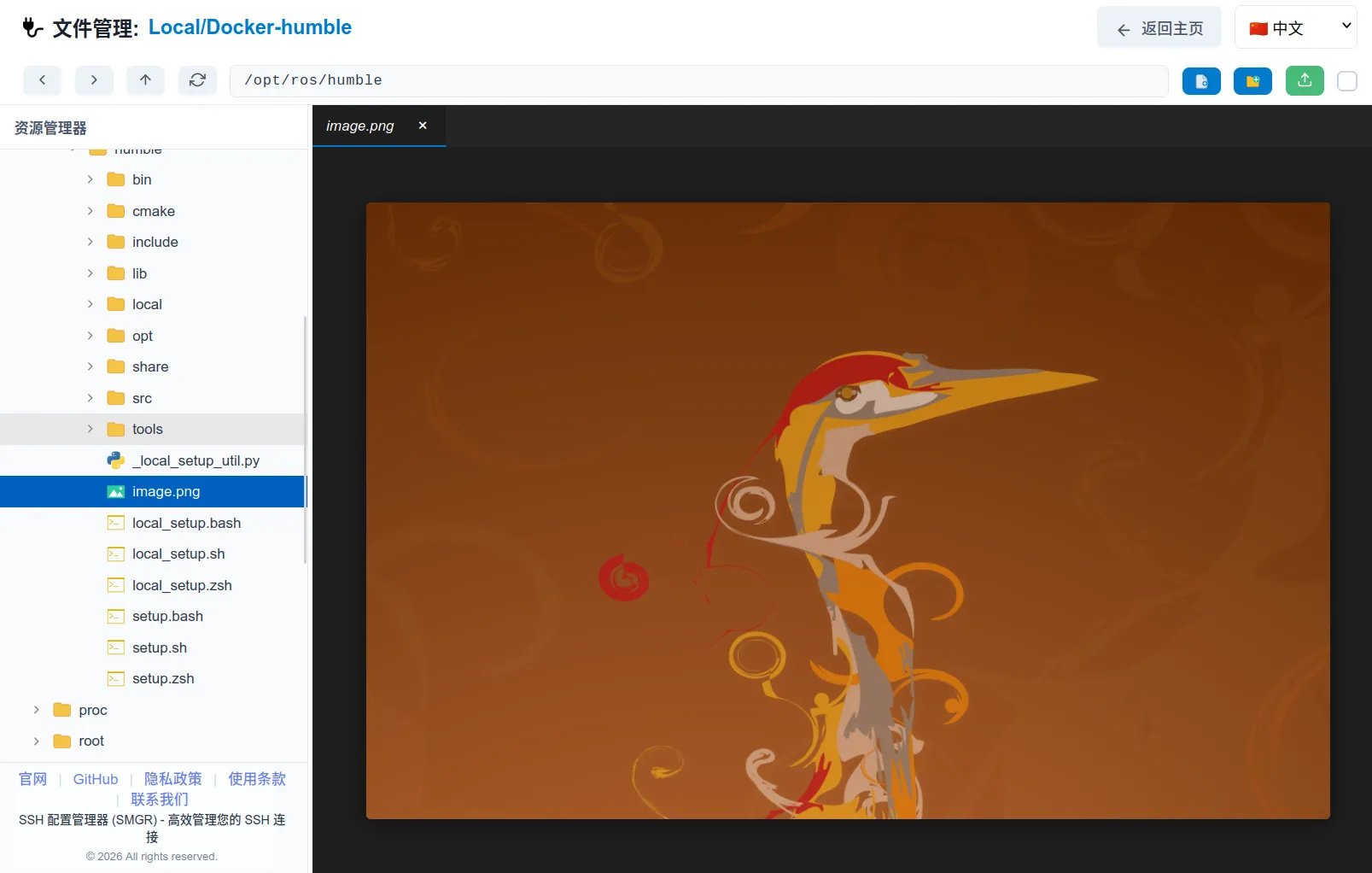 remote image viewer