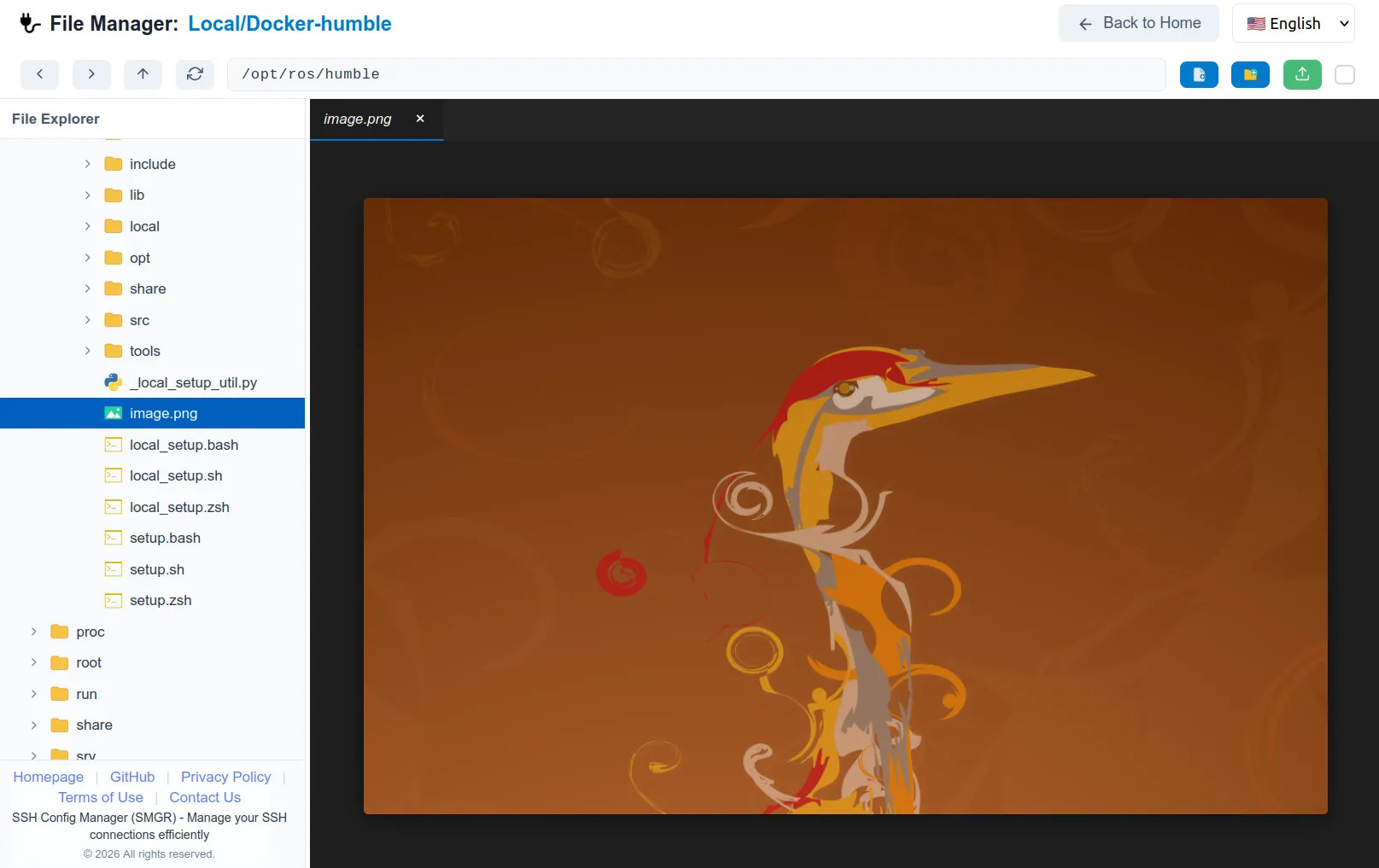 remote image viewer